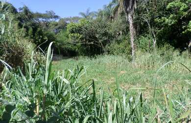 Imagem 5: Lote para venda tem 500 metros quadrados em Novo Horizonte - Betim - MG