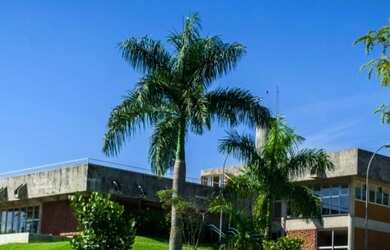 Imagem 4: Lote para venda possui 509 metros quadrados em Jardins Lisboa - Goiânia - GO