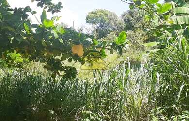 Imagem 8: Rio de Janeiro - Terreno Padrão - Freguesia Jacarepaguá