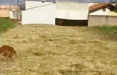 Imagem: O terreno possui 268m² de Área e está localizado em Jardim