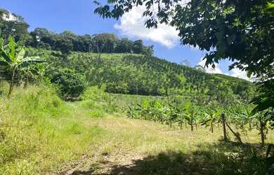 Imagem 1: Fazenda com 22 hectares Santana do Mundaú