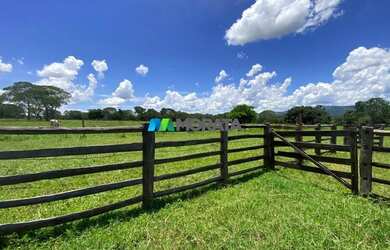Imagem 6: FAZENDA À VENDA - 1.300 HECTARES - BURITIS MG
