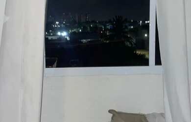 Imagem: O apartamento possui 2 Dormitórios, 1 Banheiro, 48m² de Área