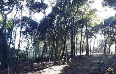 Imagem 5: Área de terras com vista deslumbrante para o vale e montanhas. Linha...