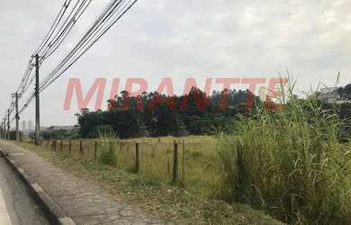 Imagem 3: Terreno em Jardim Boa Vista