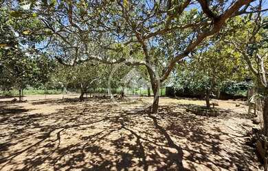 Imagem: A fazenda possui 5.000m² de Área e está localizado em Hidrolândia