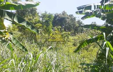Imagem 10: Rio de Janeiro - Terreno Padrão - Freguesia Jacarepaguá
