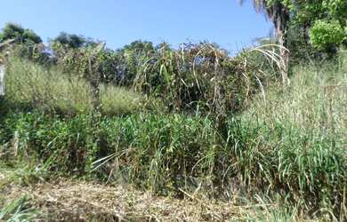 Imagem 4: Lote para venda tem 500 metros quadrados em Novo Horizonte - Betim - MG