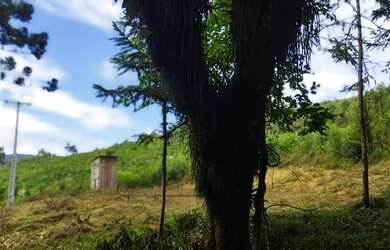 Imagem 8: Chácara Almirante Tamandaré 21.000m², 16Km de Curitiba, luz, 2km asfalto