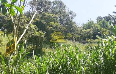 Imagem 11: Rio de Janeiro - Terreno Padrão - Freguesia Jacarepaguá