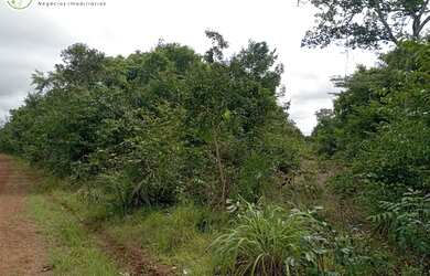 Imagem 6: FAZENDA À VENDA NO VALE DO ARAGUAIA - TO - 1.186 HECTARES (DUPLA APTIDÃO