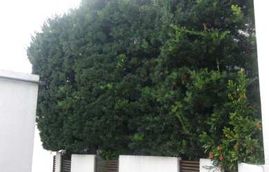 Imagem 7: Galpão/Depósito/Armazém para aluguel e venda tem 508 metros quadrados