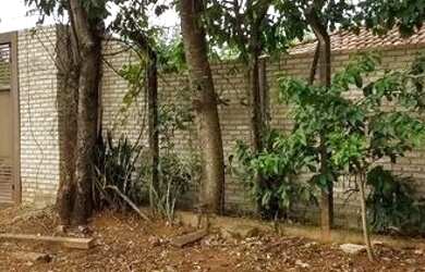 Imagem 11: Oportunidade jockey clube 500m de 320mil por 250mil