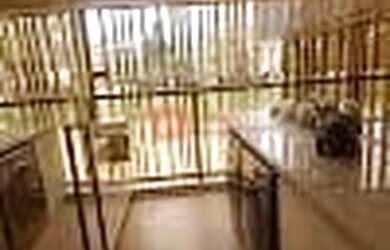 Imagem 4: Apartamento à venda, Jardim das Acácias, São Paulo, SP