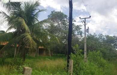 Imagem: A fazenda possui 29040000m² de Área e está localizado em