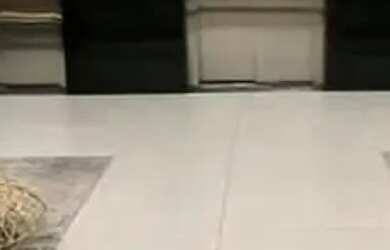 Imagem 4: Apartamentos Temporada Maceió