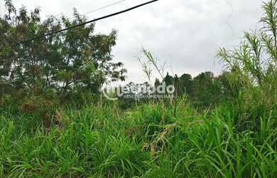 Imagem 10: Terreno à venda, Chácara Monte Alegre, Sumaré, SP