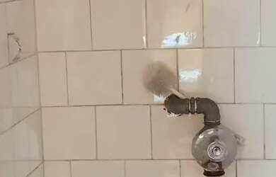 Imagem 8: Imóvel para aluguel e venda possui 27 metros quadrados em Centro - Belo Horizonte - MG