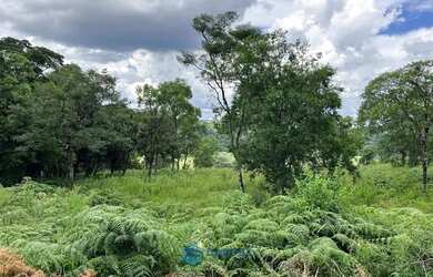 Imagem 4: Chácara com 2 ha de terra no São Victor Cohab