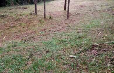 Imagem 15: Super natureza preservada 400 mil reais