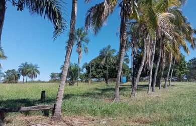 Imagem: A fazenda possui 169m² de Área e está localizado em Varjão