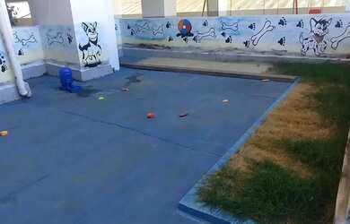 Imagem 16: Vendo apartamento no Centro - Nova Iguaçu - RJ