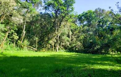 Imagem: A chácara possui 20.000m² de Área e está localizado em