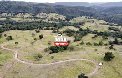 Imagem 9: Fazenda de 91 alqueires 440.44 Ha em Santa Cruz de Goiás