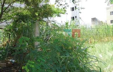 Imagem 10: Rio de Janeiro - Terreno Padrão - Recreio dos Bandeirantes