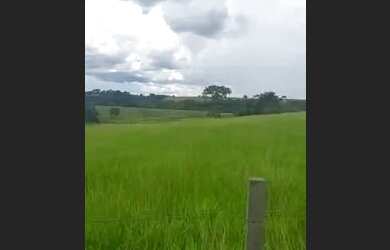 Imagem 5: Sitio top demais Auriflama 15 alqueires livre livrao valor 130 o alq