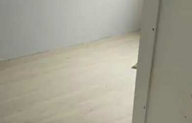 Imagem 6: Aluguel Apartamento