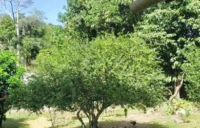 Imagem 4: Casa em Itaocaia Valley (Itaipuaçu) - Maricá