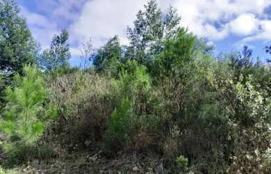 Imagem 3: Terreno - Bairro Dutra. Imóvel novoe450m² de Área