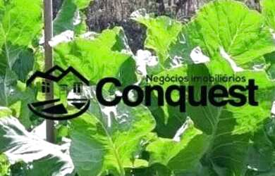 Imagem 12: Fazendinha 15 Hectares - Caetano José - Bonfim - MG