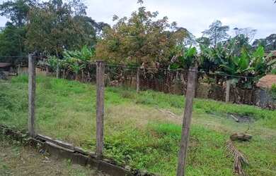 Imagem 13: Chacara local alto e ensolarado