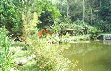 Imagem 8: Chácara em Rua das Palmeiras - Jardim Pinheirinho - Embu das Artes/SP