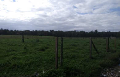 Imagem 4: Boa pra pasto ou plantio