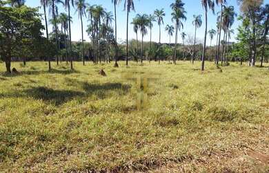 Imagem 8: Fazenda 152 Alqueires, Sao Luis De Montes Belos, GO