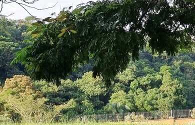 Imagem 6: Terreno 691m2 na melhor localização do Burle Marx