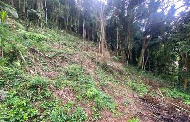 Imagem 8: Lindo terrreno com terra planagen apenas 47 mil reais