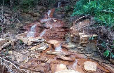 Imagem 15: Chacara 02 Alqueires Rica em Aguas e cultura Municipio Cocalzinho