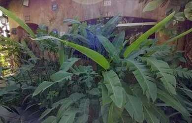 Imagem: A casa possui 4 Dormitórios, 5 Banheiros, 5 Vagas na garagem