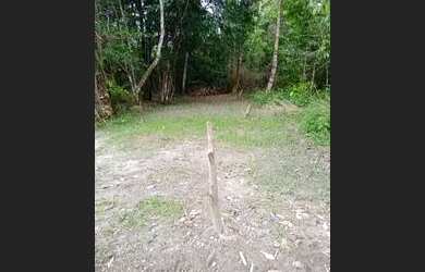 Imagem 3: Vende se um terreno em Mosqueiro