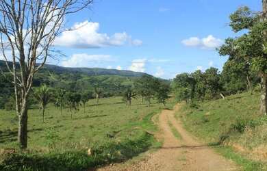 Imagem 14: Fazenda Rica em agua 80 Mil por Alqueire 241