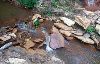 Imagem 6: Chacara 02 Alqueires Rica em Aguas e cultura Municipio Cocalzinho