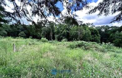 Imagem 8: Chácara com 2 ha de terra no São Victor Cohab