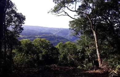 Imagem 10: Área de terras com vista deslumbrante para o vale e montanhas. Linha...