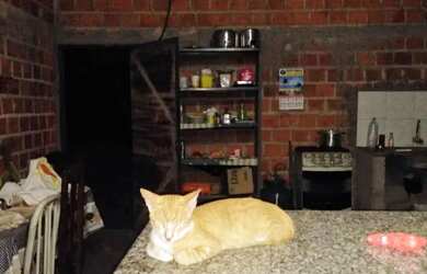 Imagem: A chácara possui 500m² de Área e está localizado em Recanto