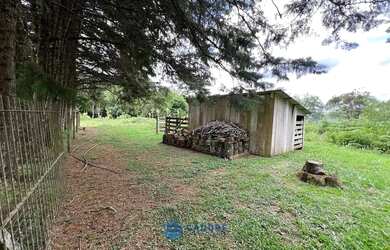 Imagem 7: Chácara com 2 ha de terra no São Victor Cohab