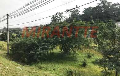 Imagem 5: Terreno em Jardim Boa Vista